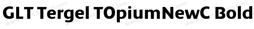 GLT Tergel TOpiumNewC Bold Italicig字体转换